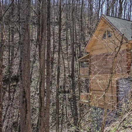 The Phoenix Cabin With Hot Tub In Gatlinburg! Dış mekan fotoğraf