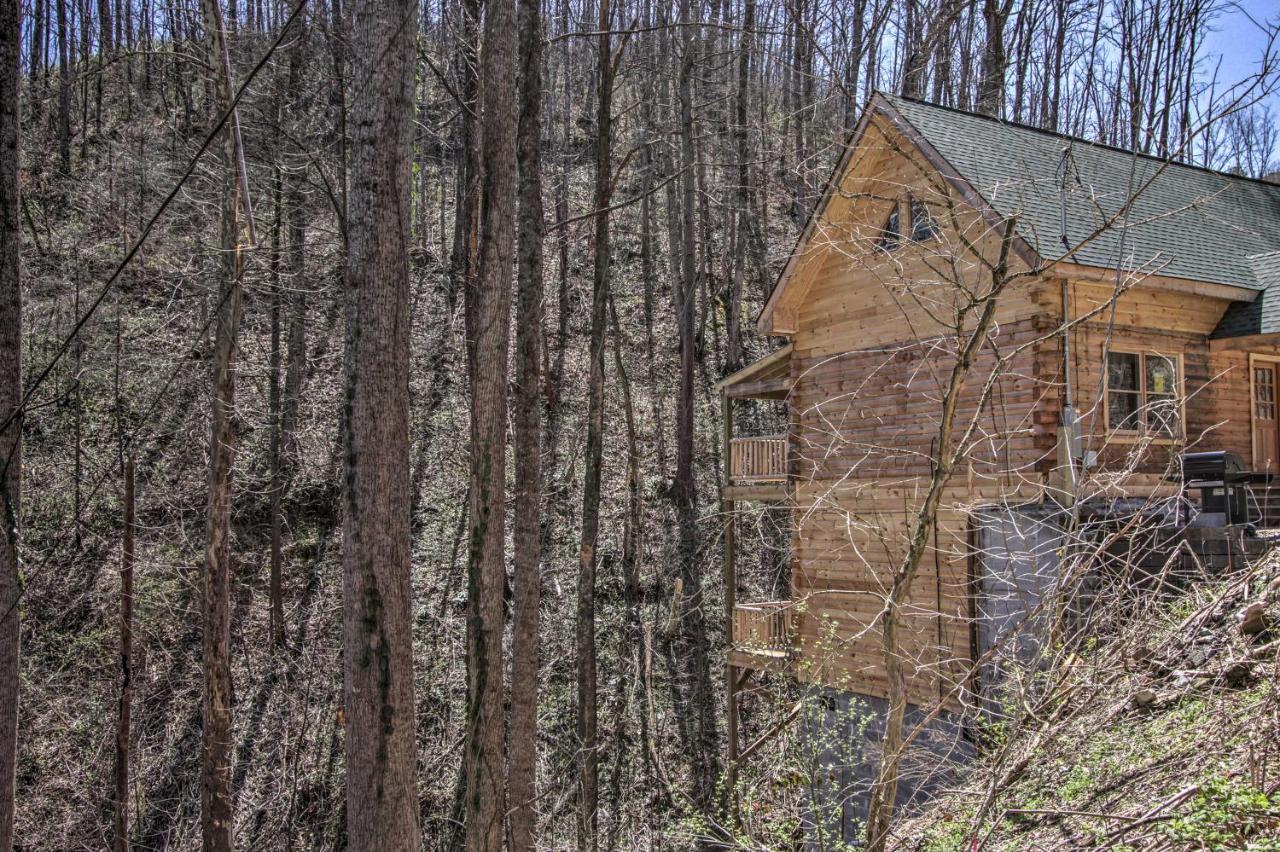 The Phoenix Cabin With Hot Tub In Gatlinburg! Dış mekan fotoğraf